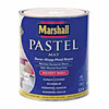 PASTEL ��� ����� 1119