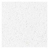 ����� Bioquard Plain 600×600×12���