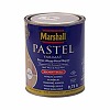 PASTEL �/������ 1119
